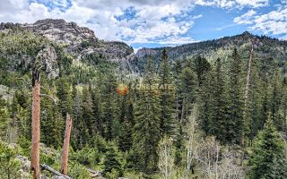 Custer State Park
