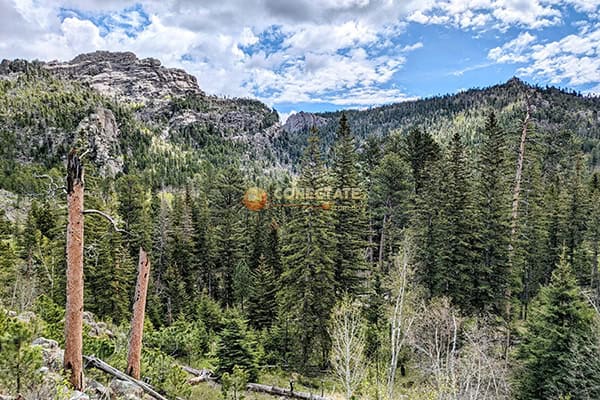 Custer State Park