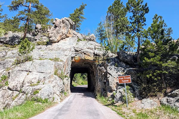 Custer State Park