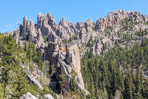 Parque Estatal Custer Dakota del Sur Estados Unidos