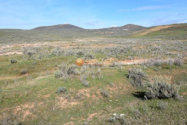 Fossil Butte