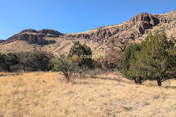 Chiricahua National Monument