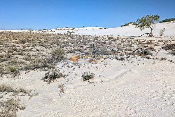 White Sands National Park
