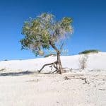 White Sands National Park
