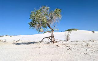 White Sands National Park