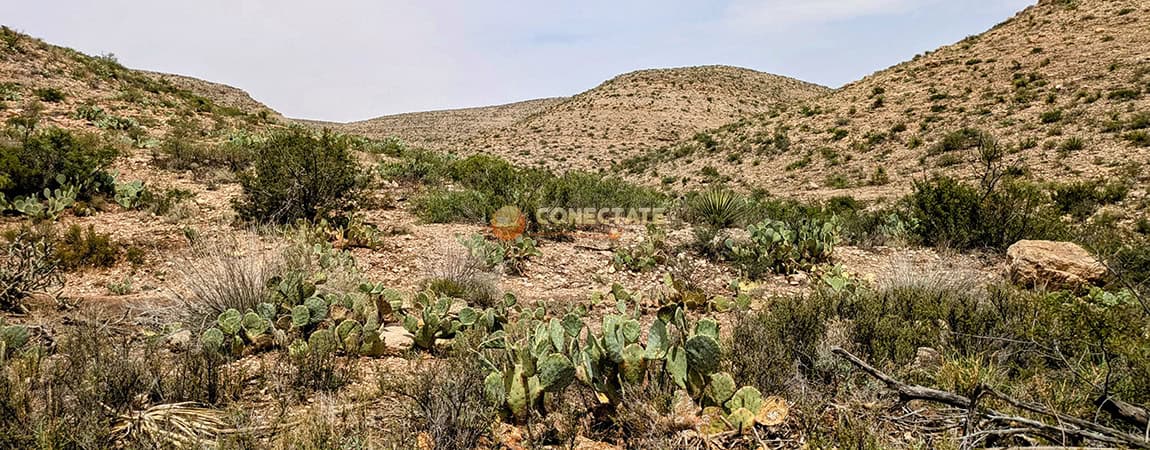 Carlsbad Caverns National Park