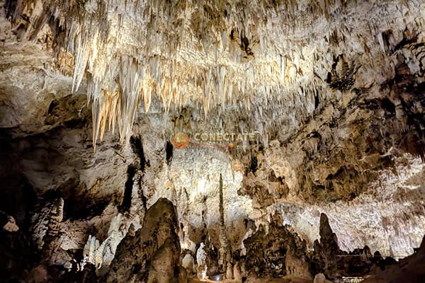 Carlsbad Caverns National Park