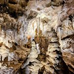 Carlsbad Caverns National Park