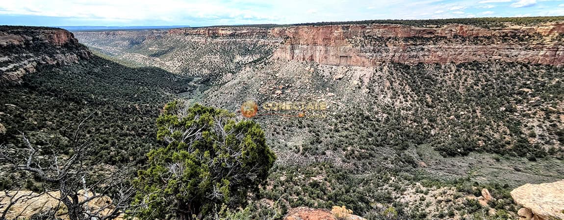 Mesa Verde National Park