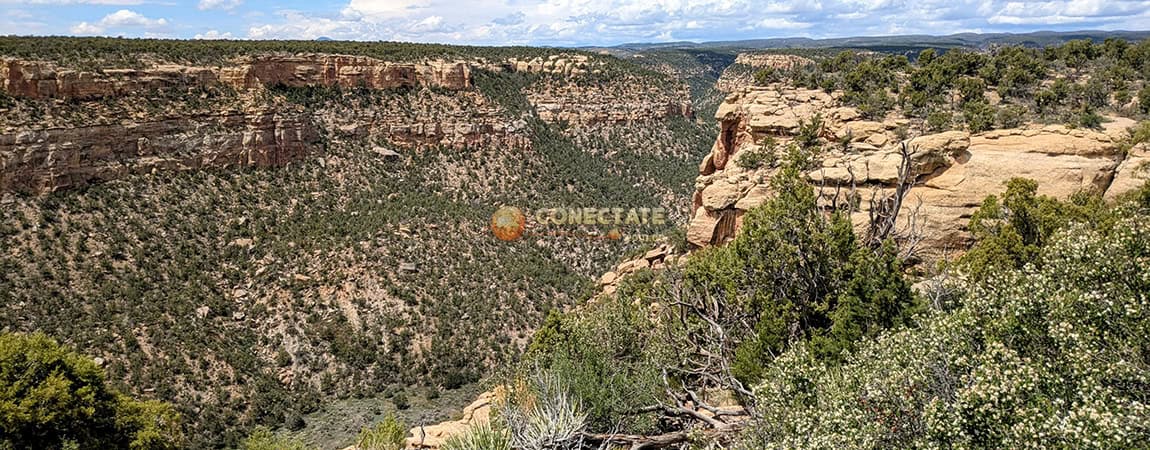 Mesa Verde National Park