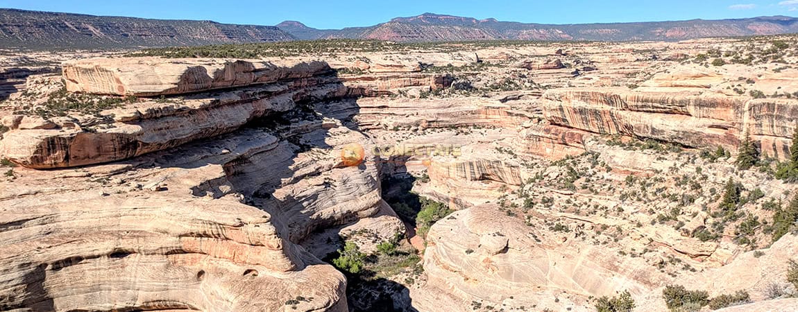 Natural Bridges National Monument