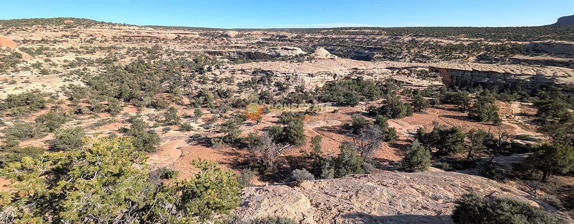 Natural Bridges National Monument
