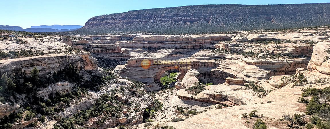 Natural Bridges National Monument