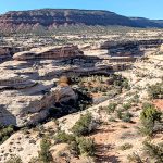 Natural Bridges National Monument