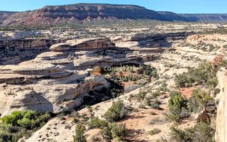 Natural Bridges National Monument