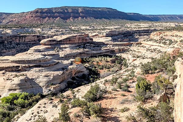 Natural Bridges National Monument