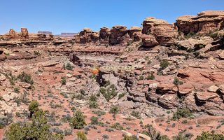 Needles District Canyonlands