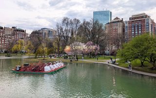 BOSTON