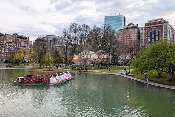 BOSTON