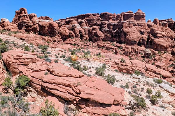 Arches National Park